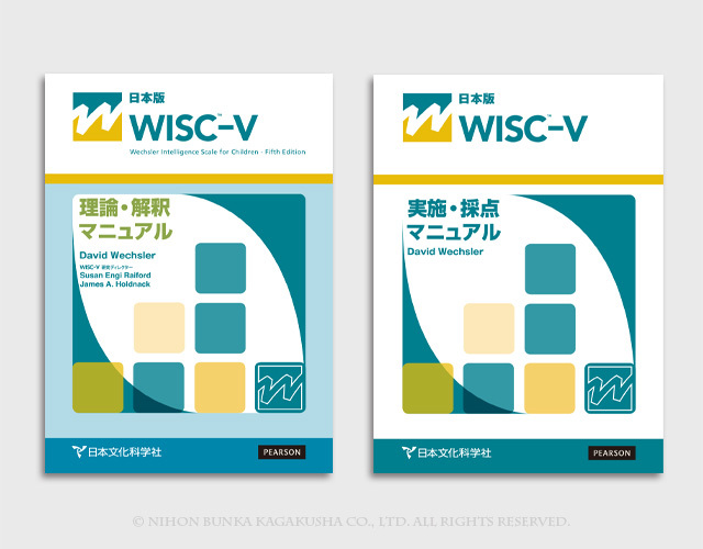 WISC-Ⅳマニュアル2冊と記録用紙1部 - その他